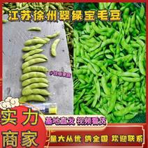 江苏毛豆精品翠绿宝毛豆大量上市量大从优大豆夹全国商超
