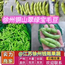 江苏毛豆翠绿宝大荚毛豆产地直供对接全国电商超市