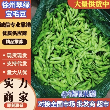 江苏毛豆翠绿宝毛豆量大从优以质量求生存欢迎咨询选购