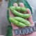 江苏毛豆翠绿宝毛豆量大从优以质量求生存欢迎咨询选购