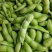 江苏毛豆翠绿宝毛豆量大从优以质量求生存欢迎咨询选购