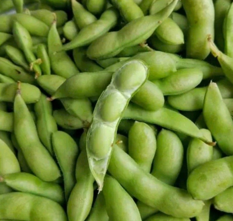江苏毛豆翠绿宝毛豆量大从优以质量求生存欢迎咨询选购