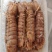 大母带膏皮皮虾江苏连云港发货餐饮佳品全国发货