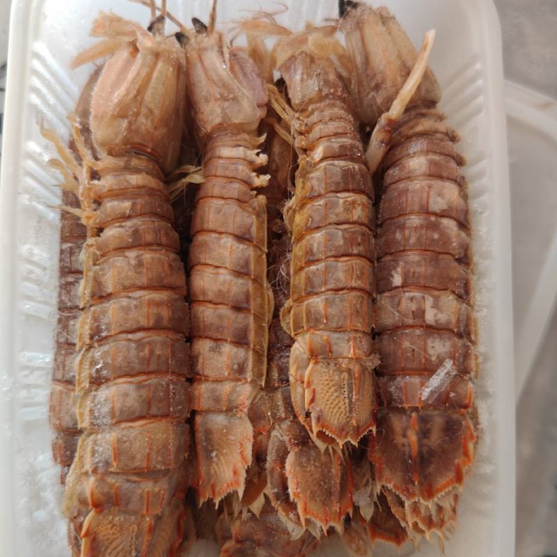 大母带膏皮皮虾江苏连云港发货餐饮佳品全国发货