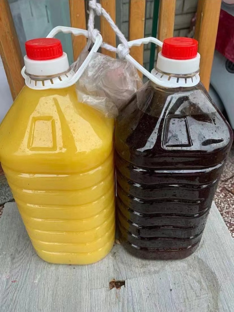 纯菜籽油农家自榨纯菜籽油12元一斤每桶5升纯