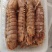 大母带膏皮皮虾江苏连云港发货餐饮佳品全国发货