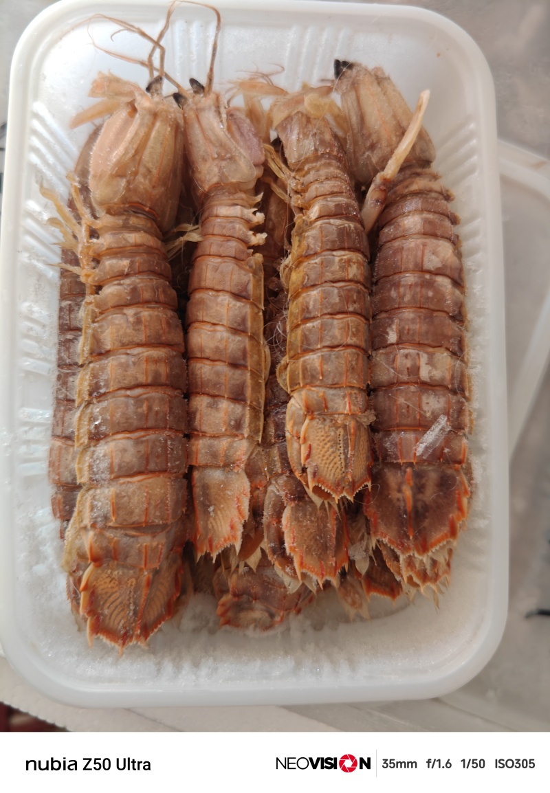 大母带膏皮皮虾江苏连云港发货餐饮佳品全国发货