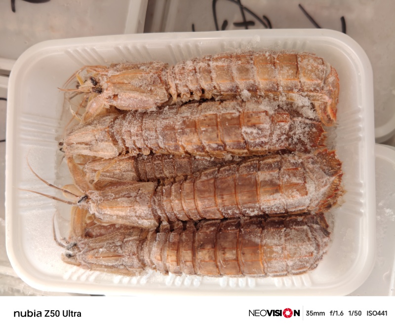 大母带膏皮皮虾江苏连云港发货餐饮佳品全国发货