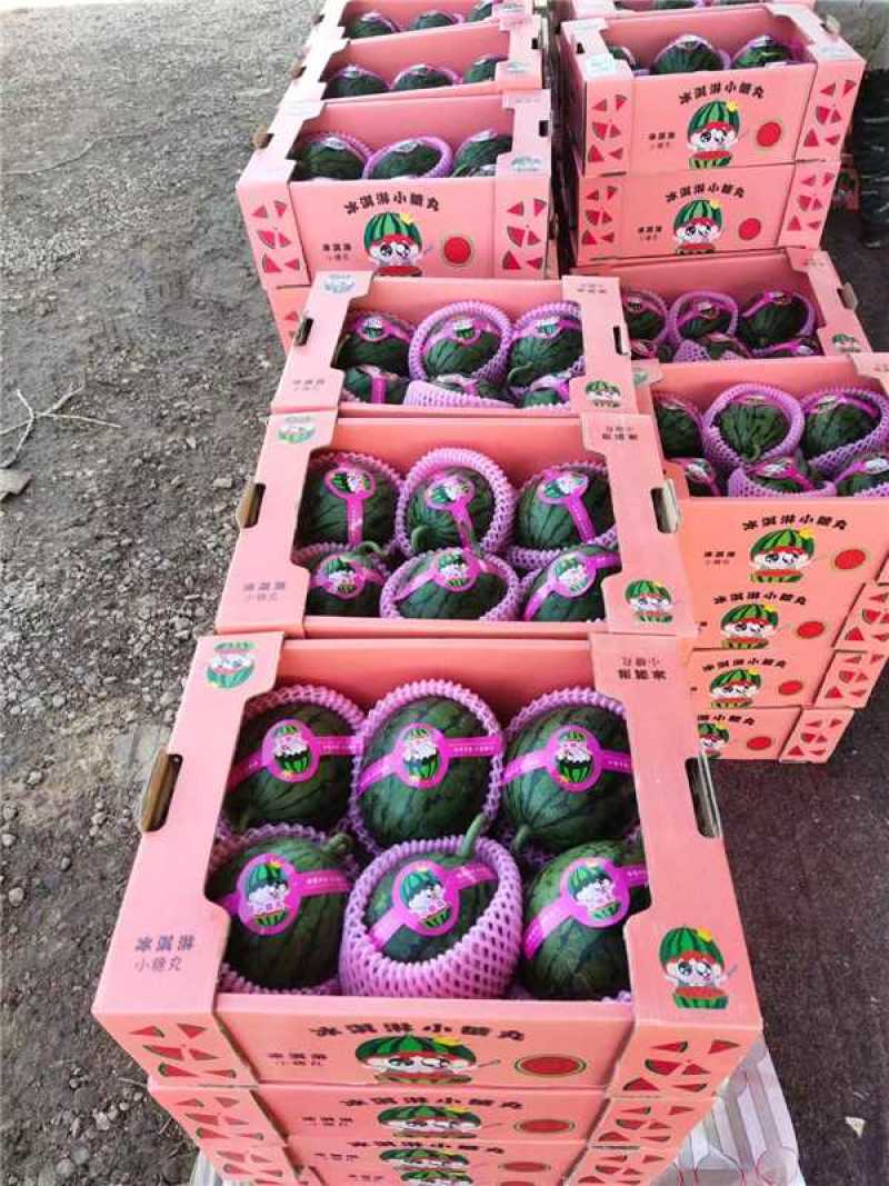 精品小吊瓜冰糖子2k
