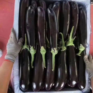 山西大同精品烧烤茄子