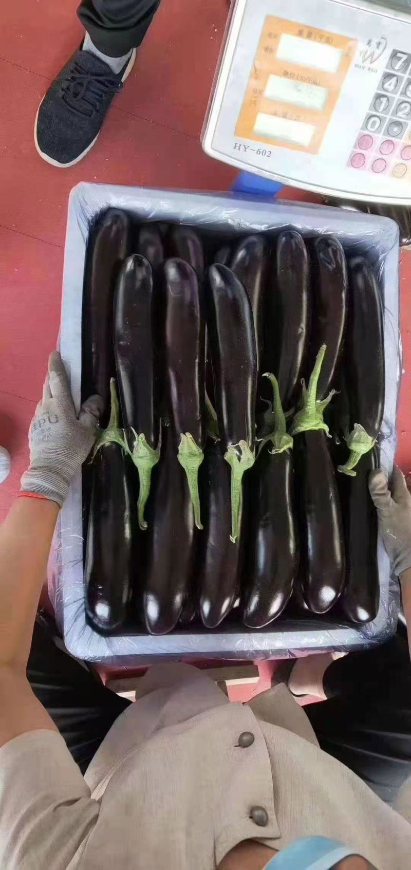 山西大同精品烧烤茄子