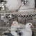 江苏盱眙肉鸽养殖场