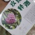 百亩产地玫瑰释迦，一件代发，顺丰包邮，批发等，欢迎来撩