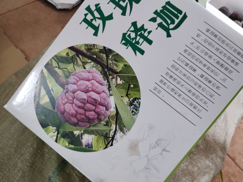 百亩产地玫瑰释迦，一件代发，顺丰包邮，批发等，欢迎来撩