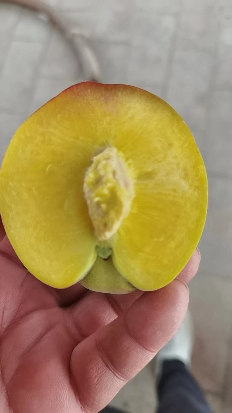 白油桃