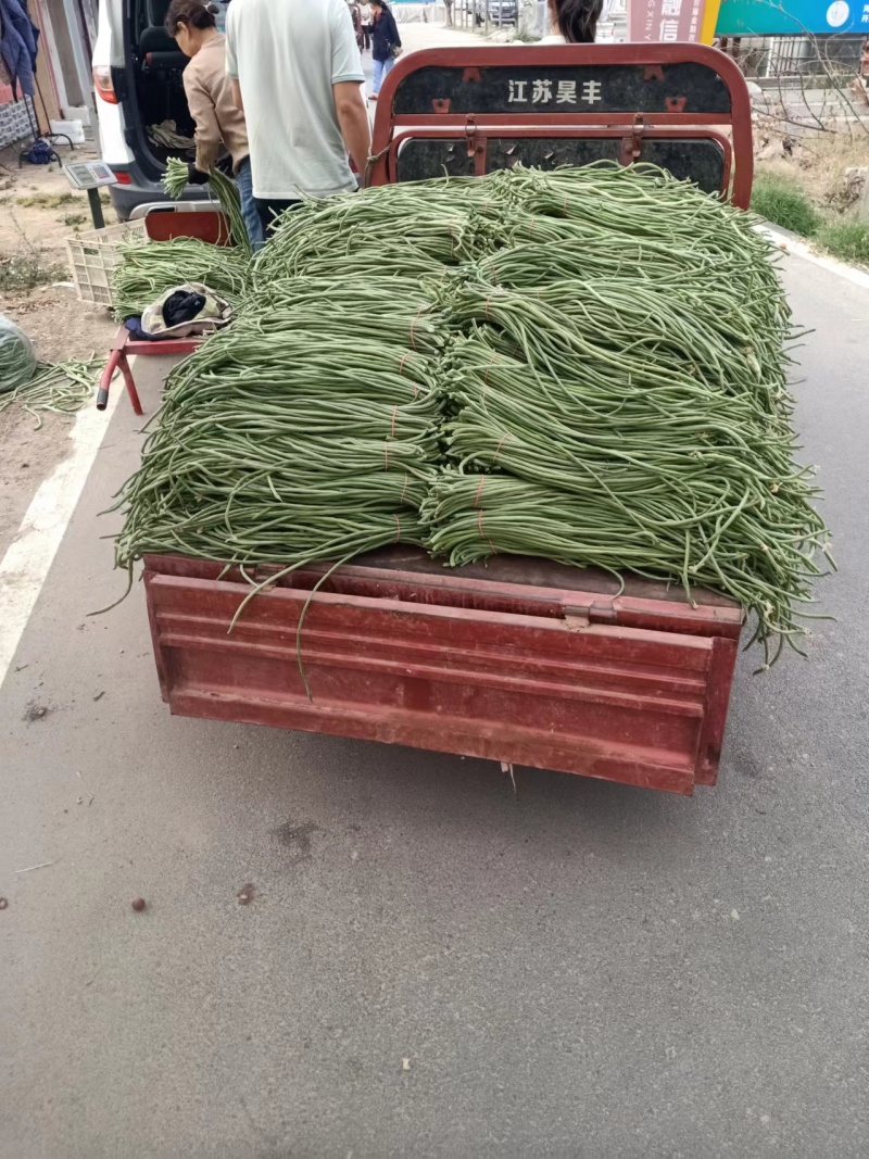 精品青条豆角，无虫无斑，肉质紧实，鲜嫩碧绿。量大从优