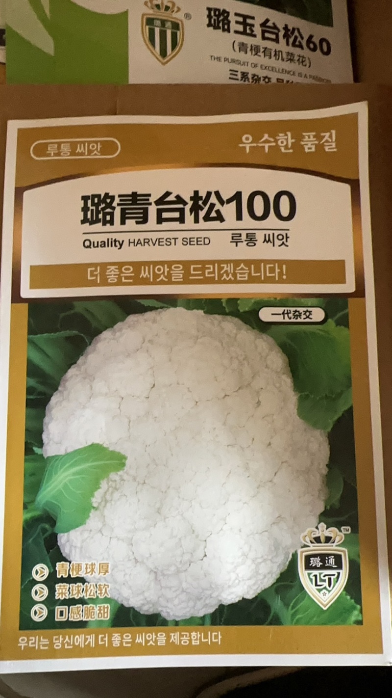 台松60-80花椰菜种子松花种子蔬菜基地专用