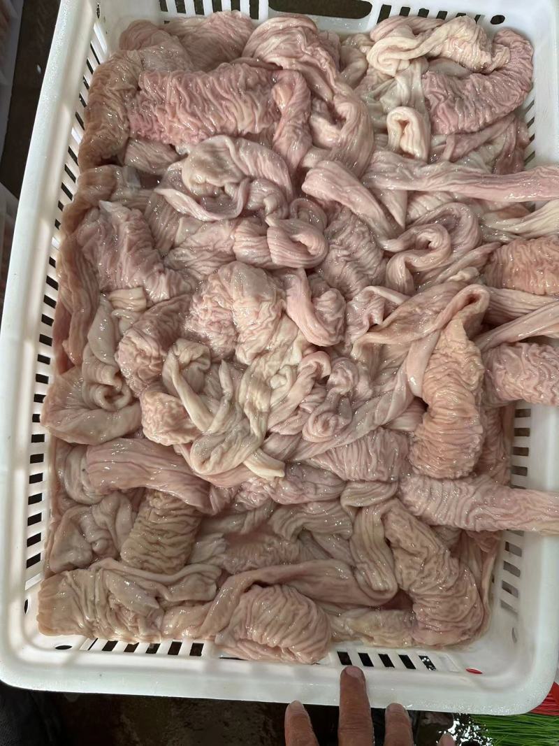 大肠头
