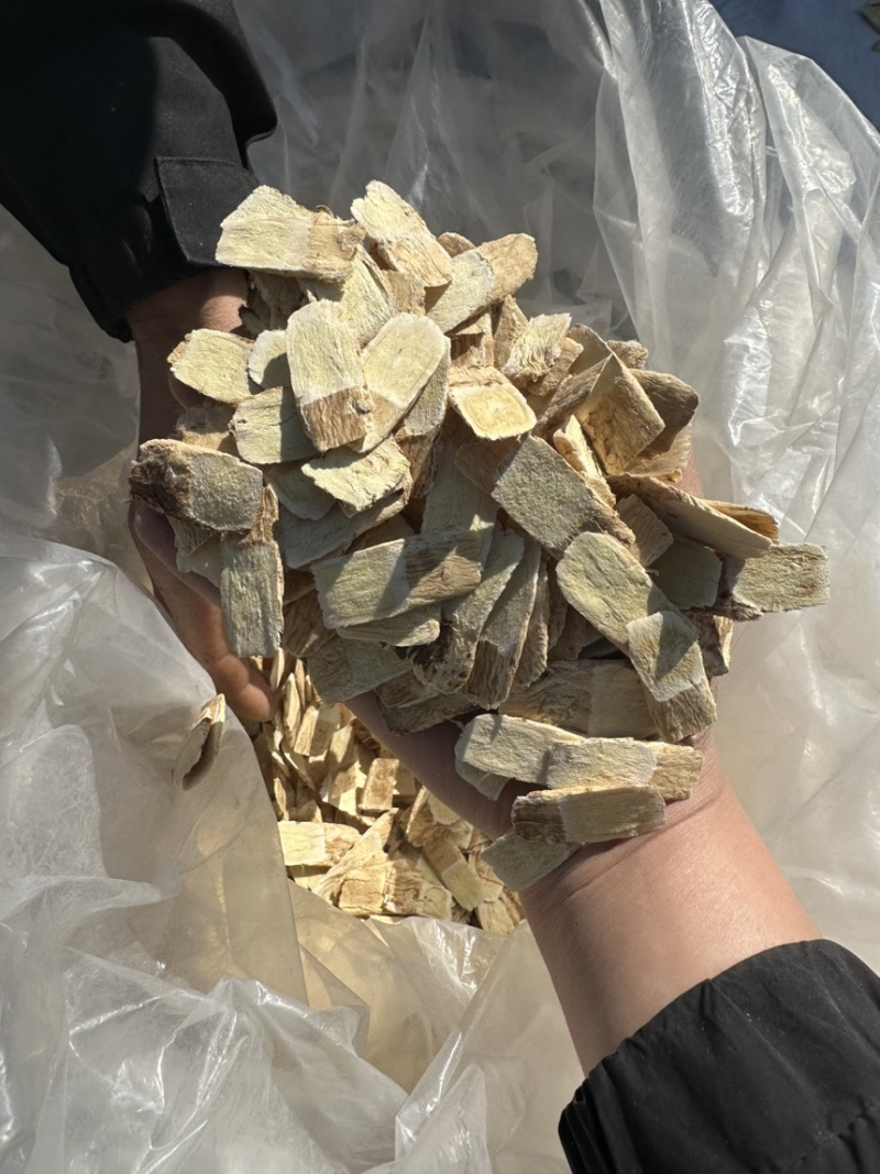 【精品黄芪纯手工指甲片】传统古法工艺纯手工制作