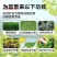 液体硅肥（单硅酸）抗病增产抗倒伏膨果增甜上色快