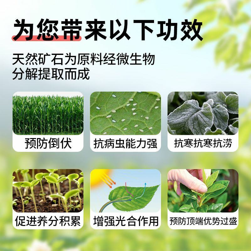 液体硅肥（单硅酸）抗病增产抗倒伏膨果增甜上色快