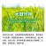液体硅肥（单硅酸）抗病增产抗倒伏膨果增甜上色快