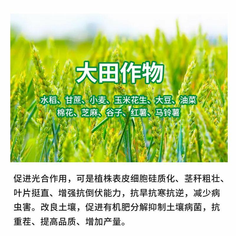 液体硅肥（单硅酸）抗病增产抗倒伏膨果增甜上色快
