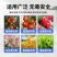 液体硅肥（单硅酸）抗病增产抗倒伏膨果增甜上色快