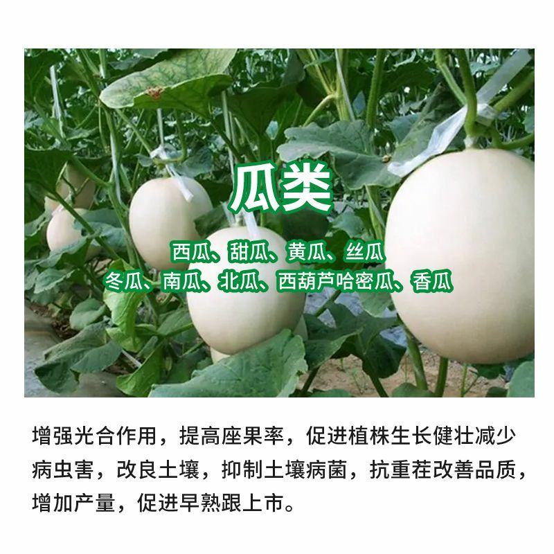 液体硅肥（单硅酸）抗病增产抗倒伏膨果增甜上色快