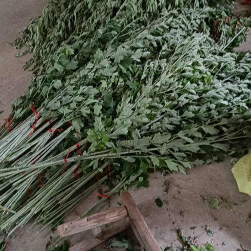 端午艾草支持定制