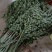 端午艾草支持定制