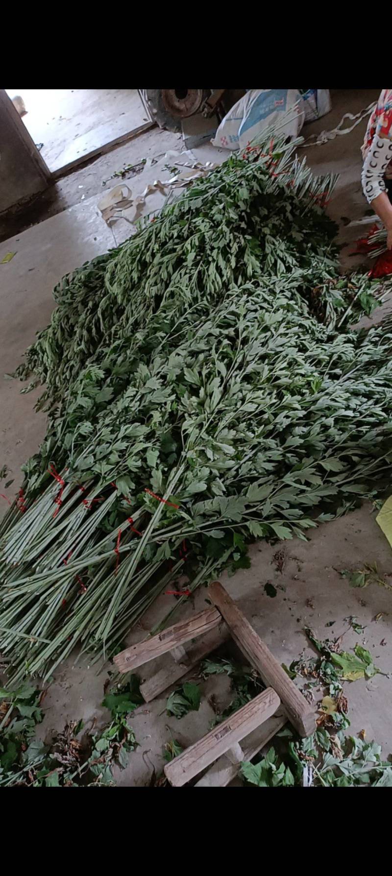 端午艾草支持定制