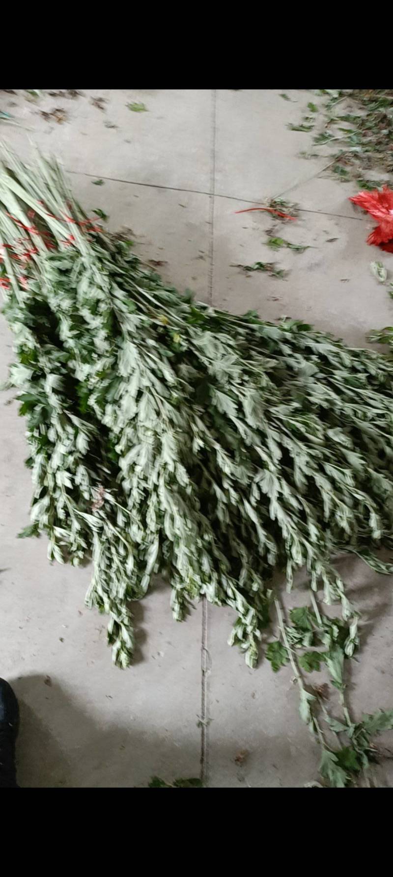 端午艾草支持定制