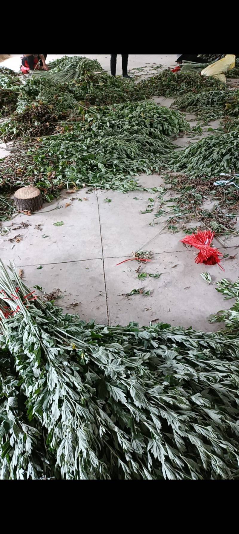 端午艾草支持定制