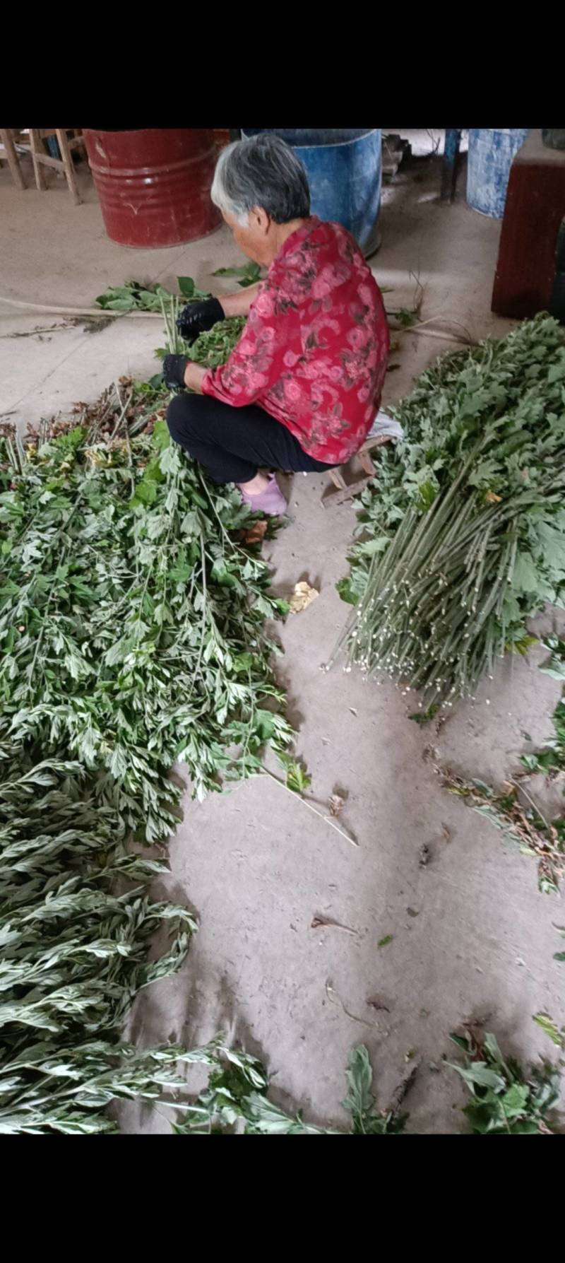 端午艾草支持定制