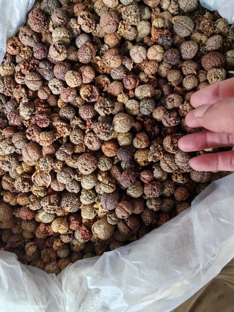 广西草寇藤果子中草寇广西草寇广东草寇海南草寇越南草寇草扣