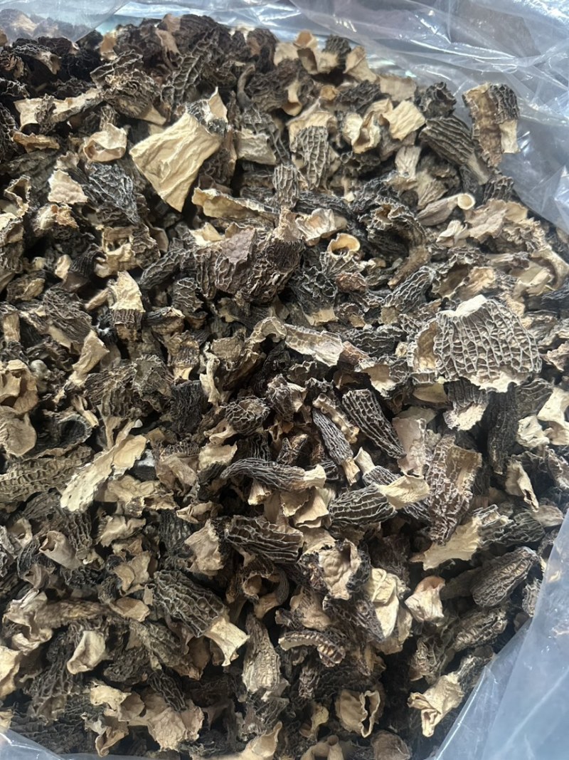 【精选】羊肚菌干货剪柄去泥肉质细嫩营养丰富欢迎咨询选购