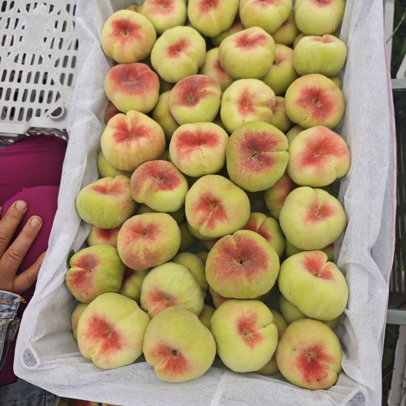 【山西蟠桃】珍珠油桃，个大果甜保质保量诚信经营
