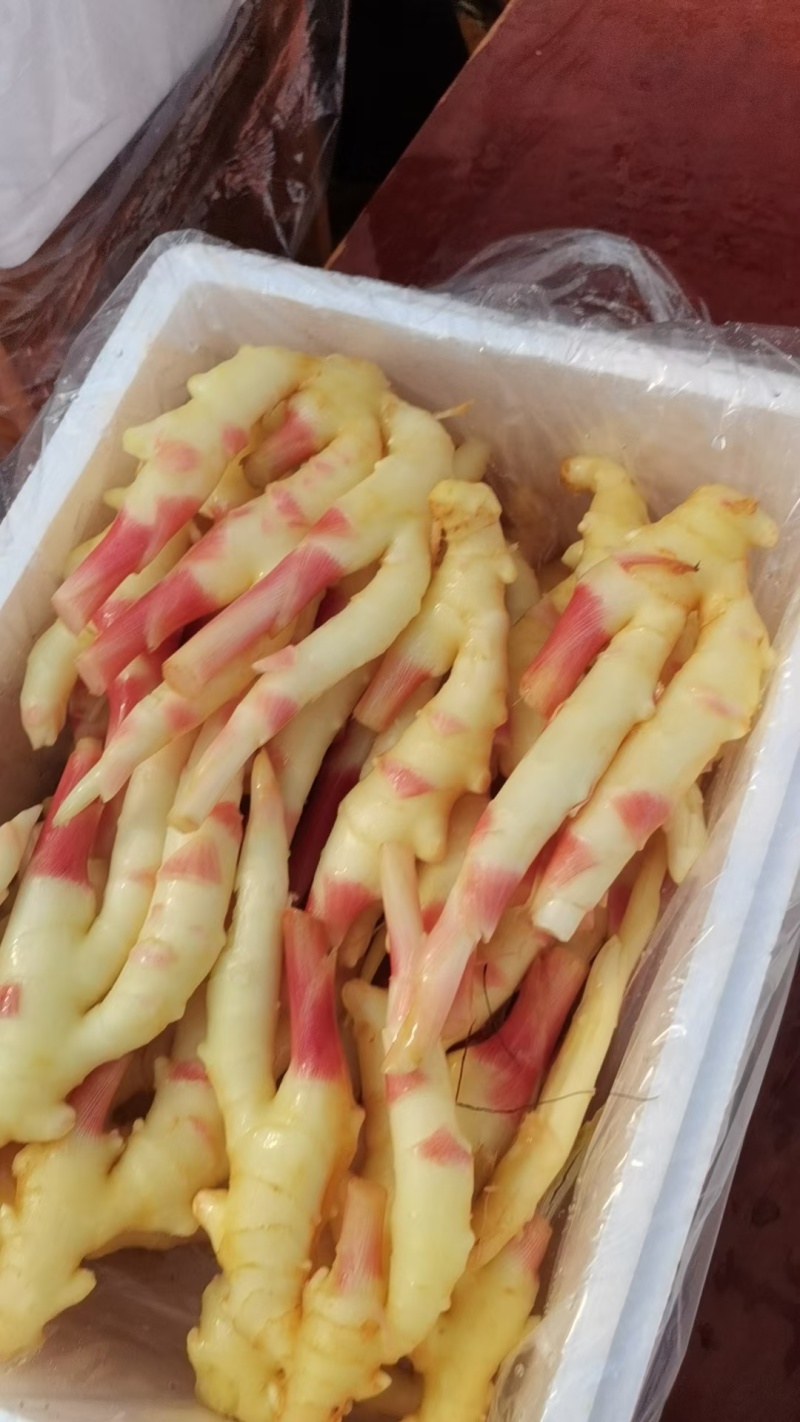 建水精品中黄姜（仔姜）已大量上市中，欢迎各位老板前来采购