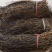干豆角基地种植量大质优价格优惠欢迎各大批发商咨询采购