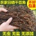 干豆角基地种植量大质优价格优惠欢迎各大批发商咨询采购
