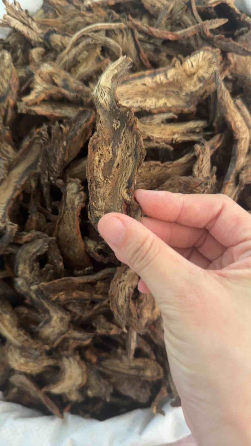 野生紫丹参片，纯无硫，纯野生，现货现发