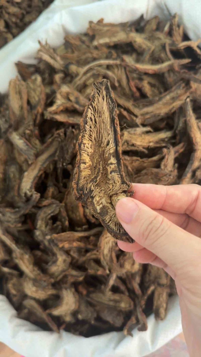 野生紫丹参片，纯无硫，纯野生，现货现发