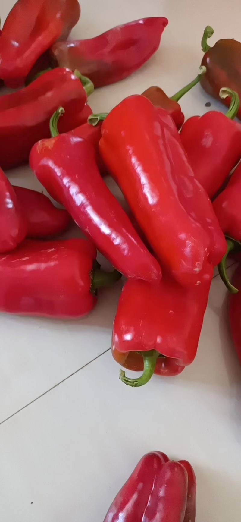 荆州精品红辣椒，货量足，价格低，欢迎大家前来选购