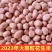 包邮2023花生米新货花生粉皮新鲜大粒粉榨油白沙花生仁