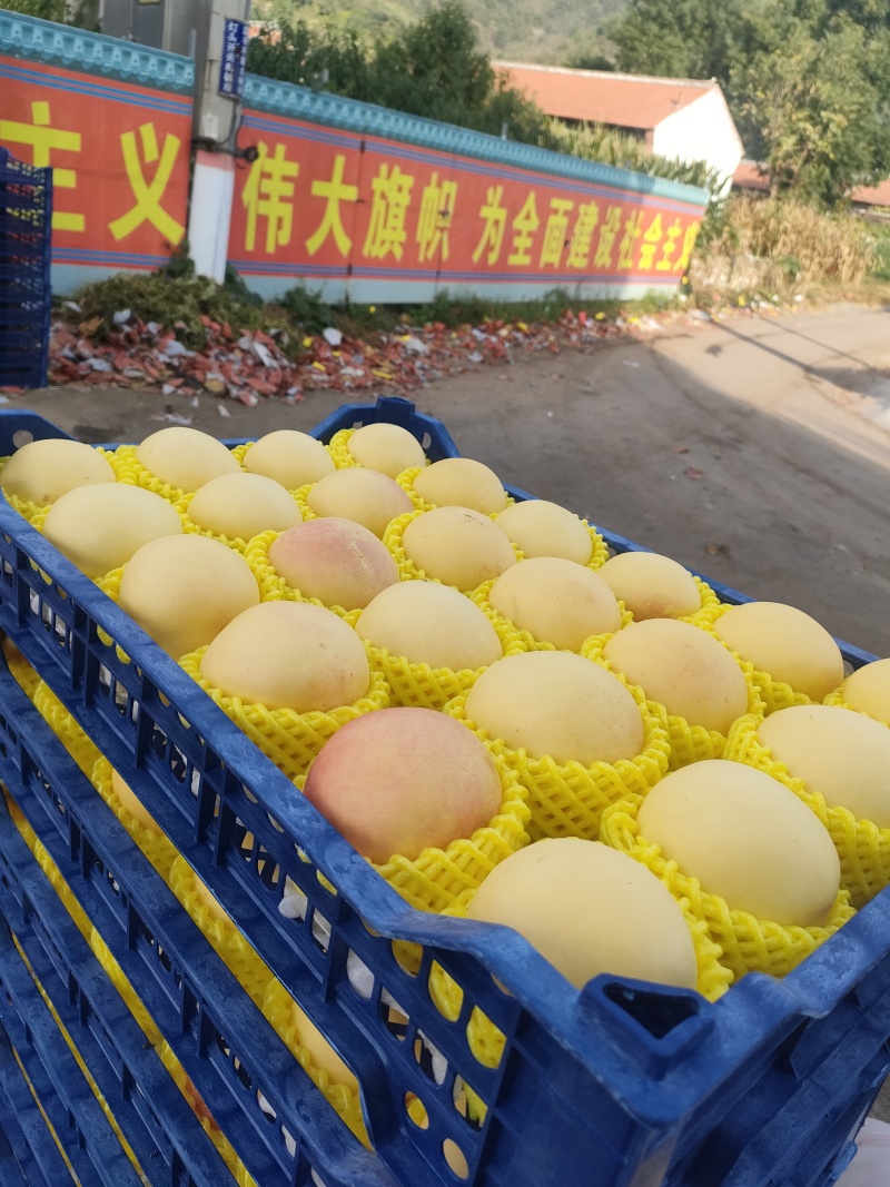 晚黄油