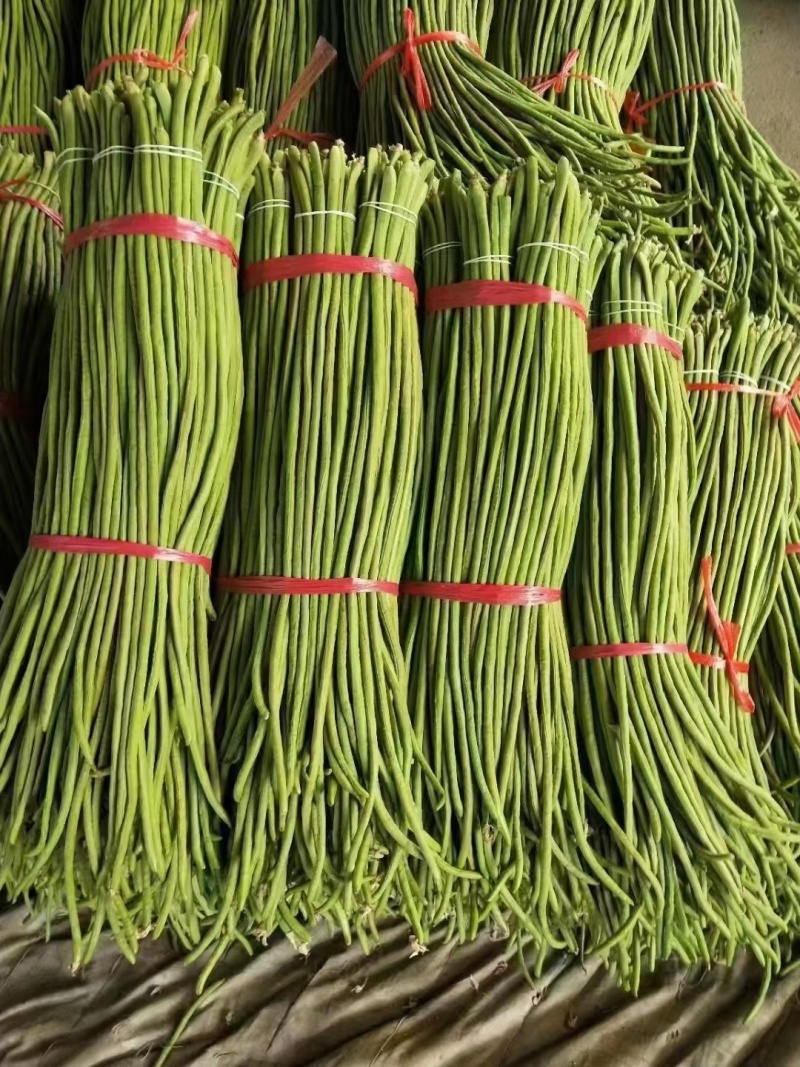 本地长豆角清条豆角大量有货，质量保证有需要的联系