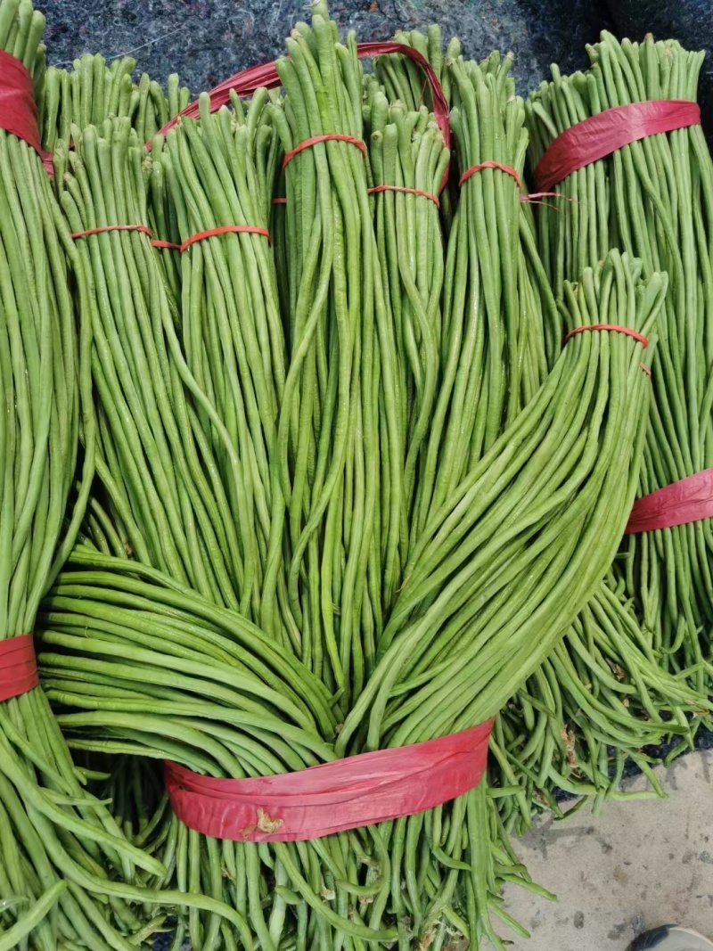 本地长豆角清条豆角大量有货，质量保证有需要的联系