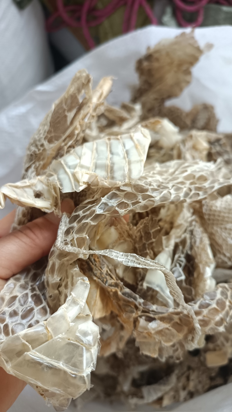 蛇蜕，龙衣，水洗干净无杂，支持在线下单