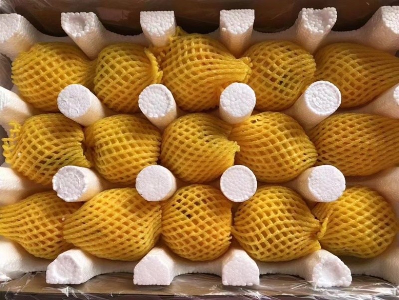 黄金蜜1号，7号套带黄桃大量有货，